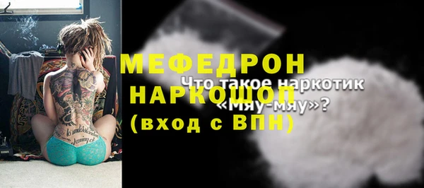 мяу мяу кристалл Няндома
