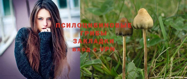 мяу мяу кристалл Няндома