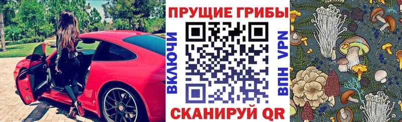 наркошоп  Полярные Зори  Галлюциногенные грибы мухоморы 